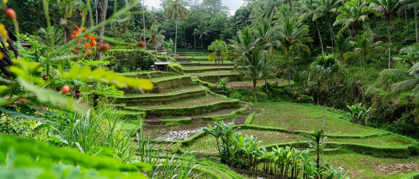 7 Best Things to do in Bali for First-Time Visitors - TravelWifi's Blog