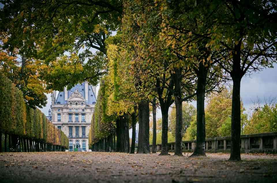 best picnic spots in paris